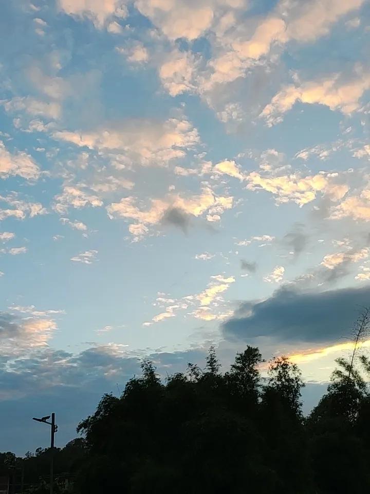 上周回了趟浙西老家，傍晚搬个小竹凳在村口老樟树下乘凉，抬头撞见的天空直接把我看愣