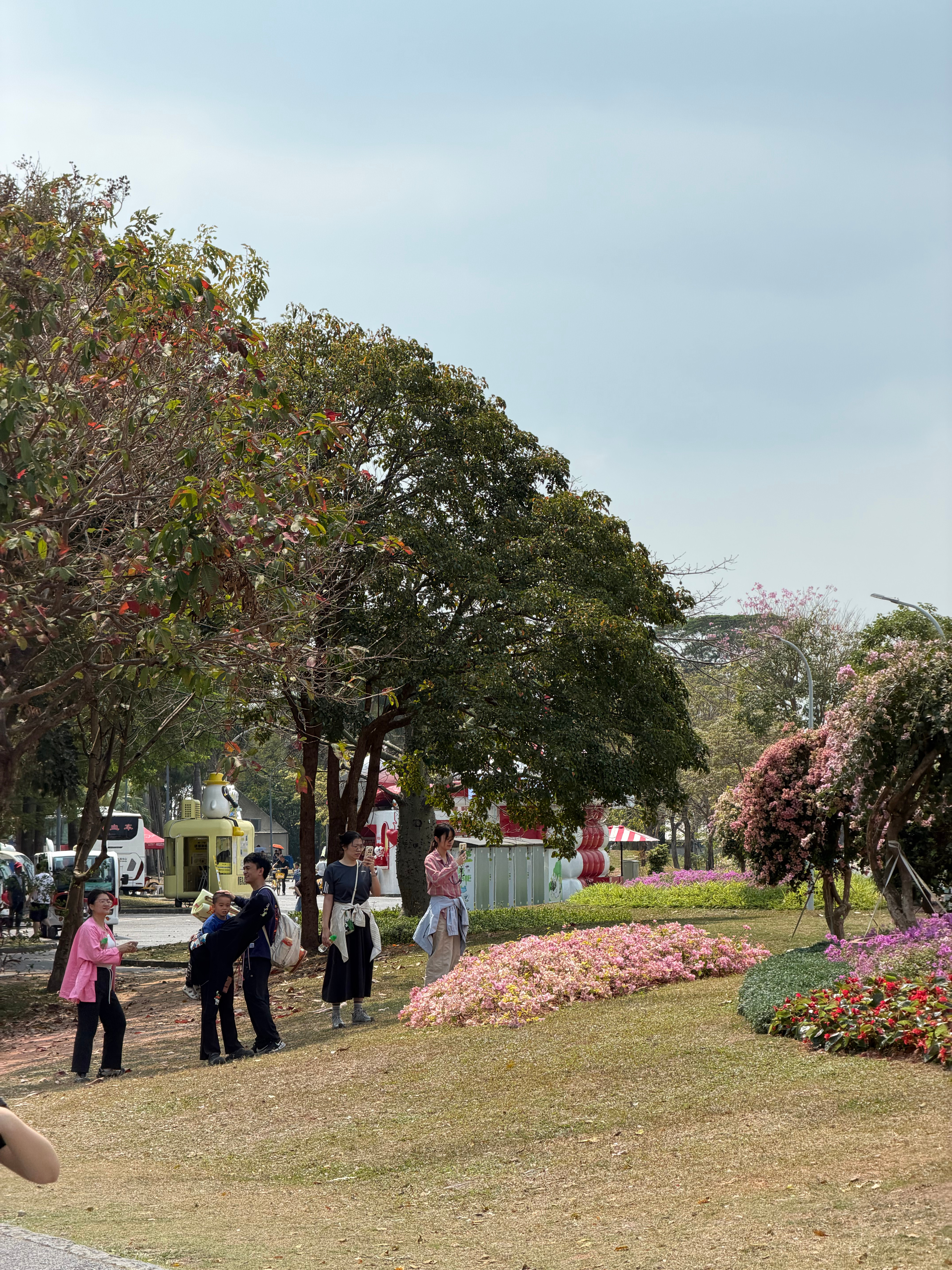 深圳湾的午后，盛夏的感觉 深圳·深圳湾公园