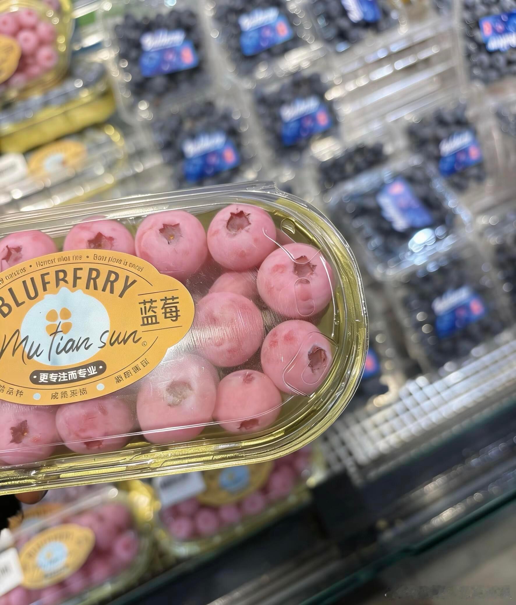 以后不吃蓝莓了 吃粉莓哈哈哈哈哈 