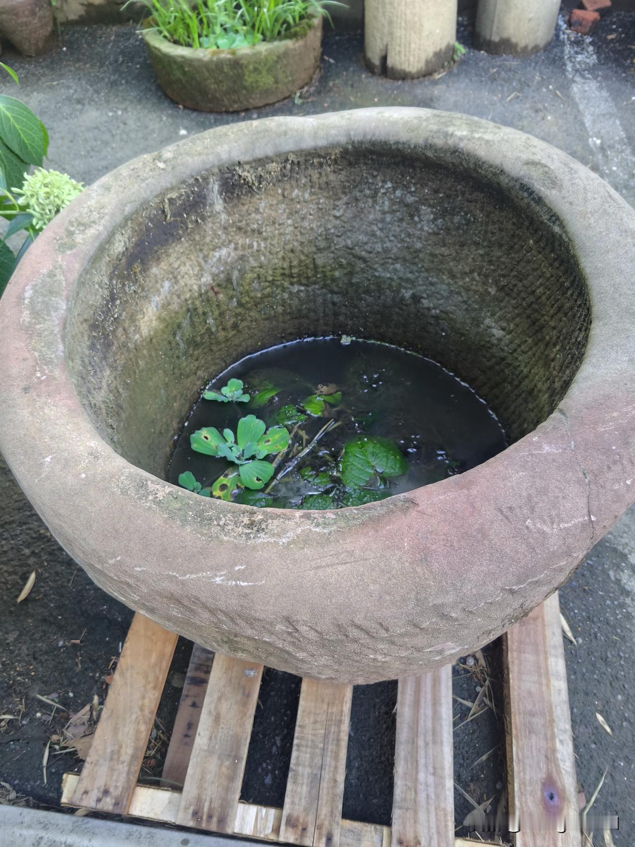 山区里的古董！
     昨天在一家景观设计公司，见到他们收藏的石槽、石磨、石盆