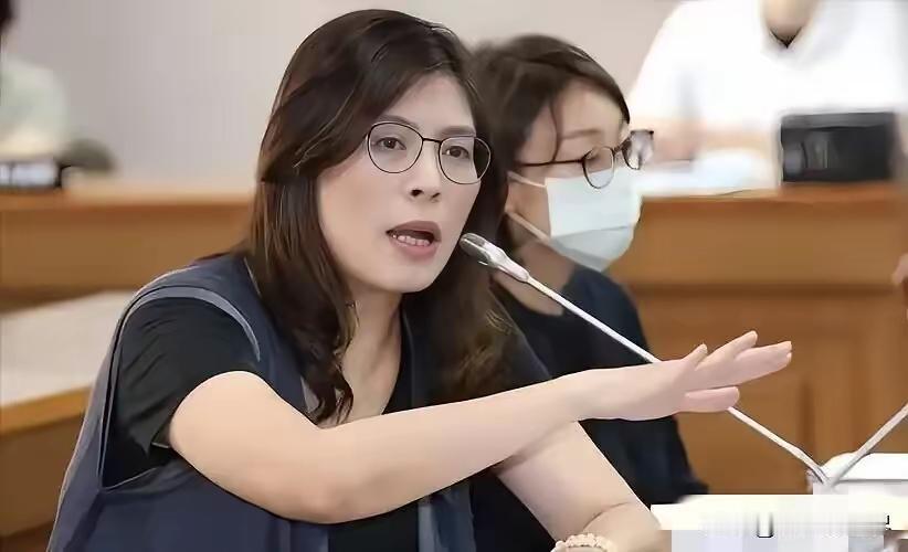 郑丽文当着所有媒体的面，把话说得再明白不过。民进党根本不敢动她。谁敢用司法手段收