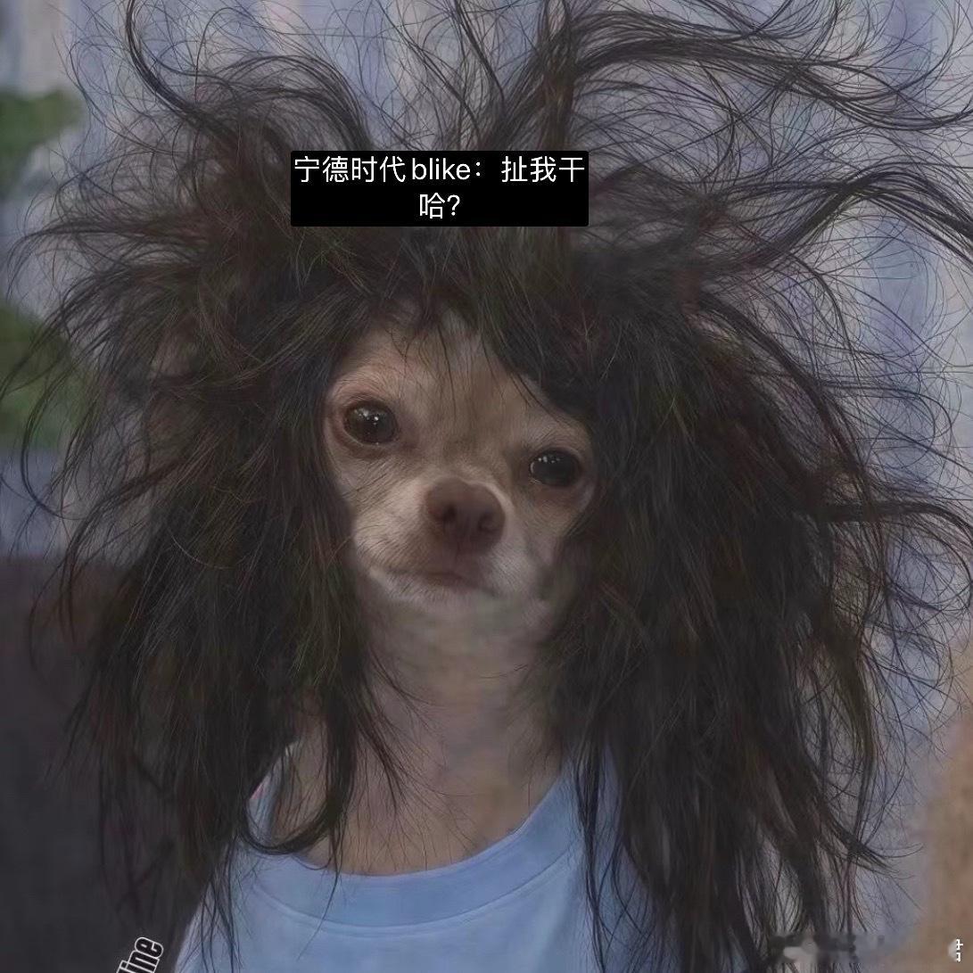 车间裸奔员工因离职情绪失控明明是因为离职问题导致情绪失控，非得编造成班长不让上厕