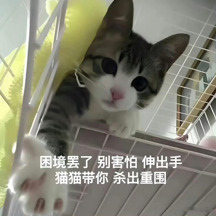 大吉胡咧咧 挟恩不图报51“咱们吃了再回家。”自己挣了钱，枣康也开始慷慨起来，竟