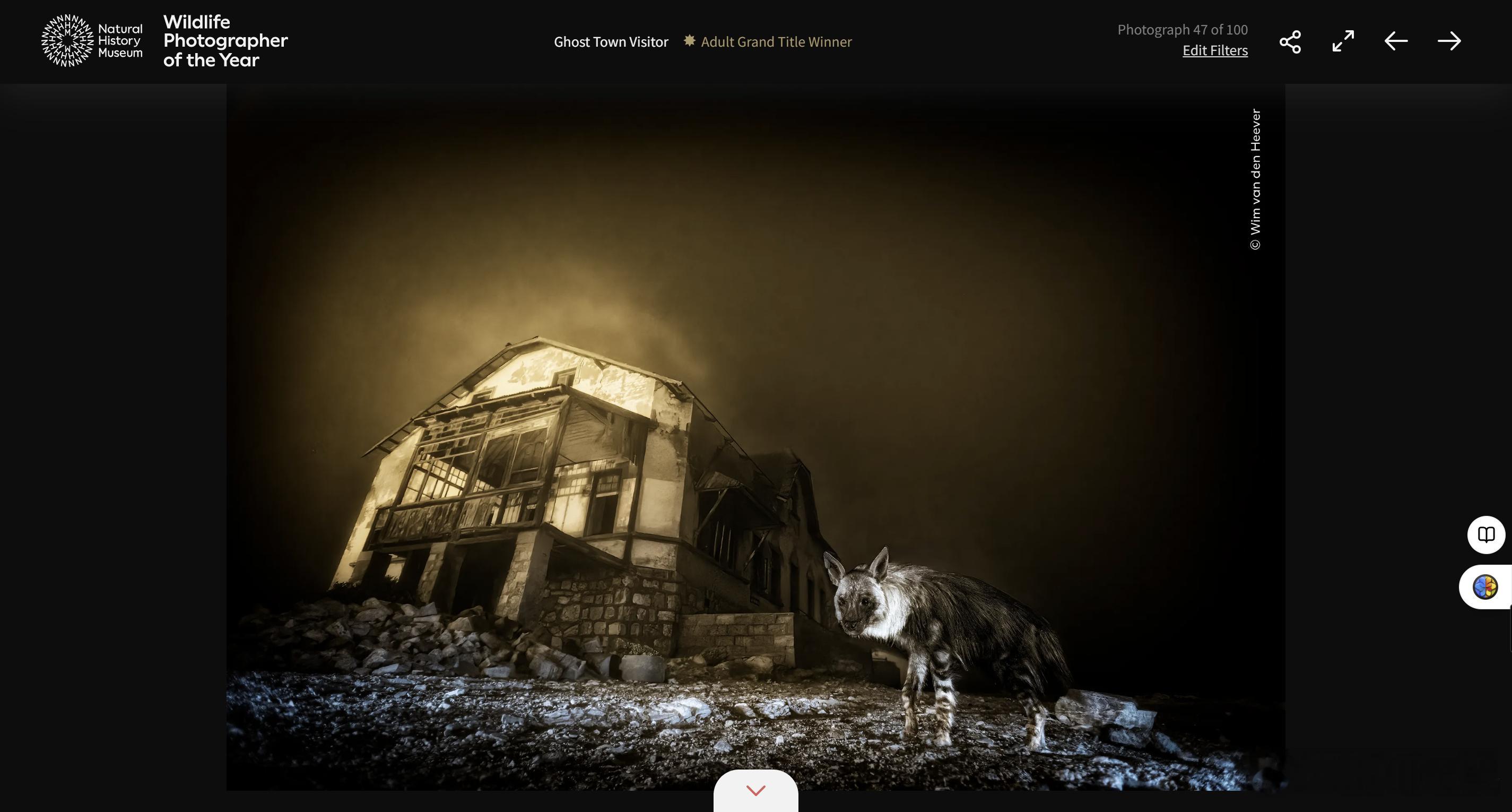 今年的WPY。。有些无聊的一年呢，个人感觉没有太多吸引我的，大约就这四个吧。。还