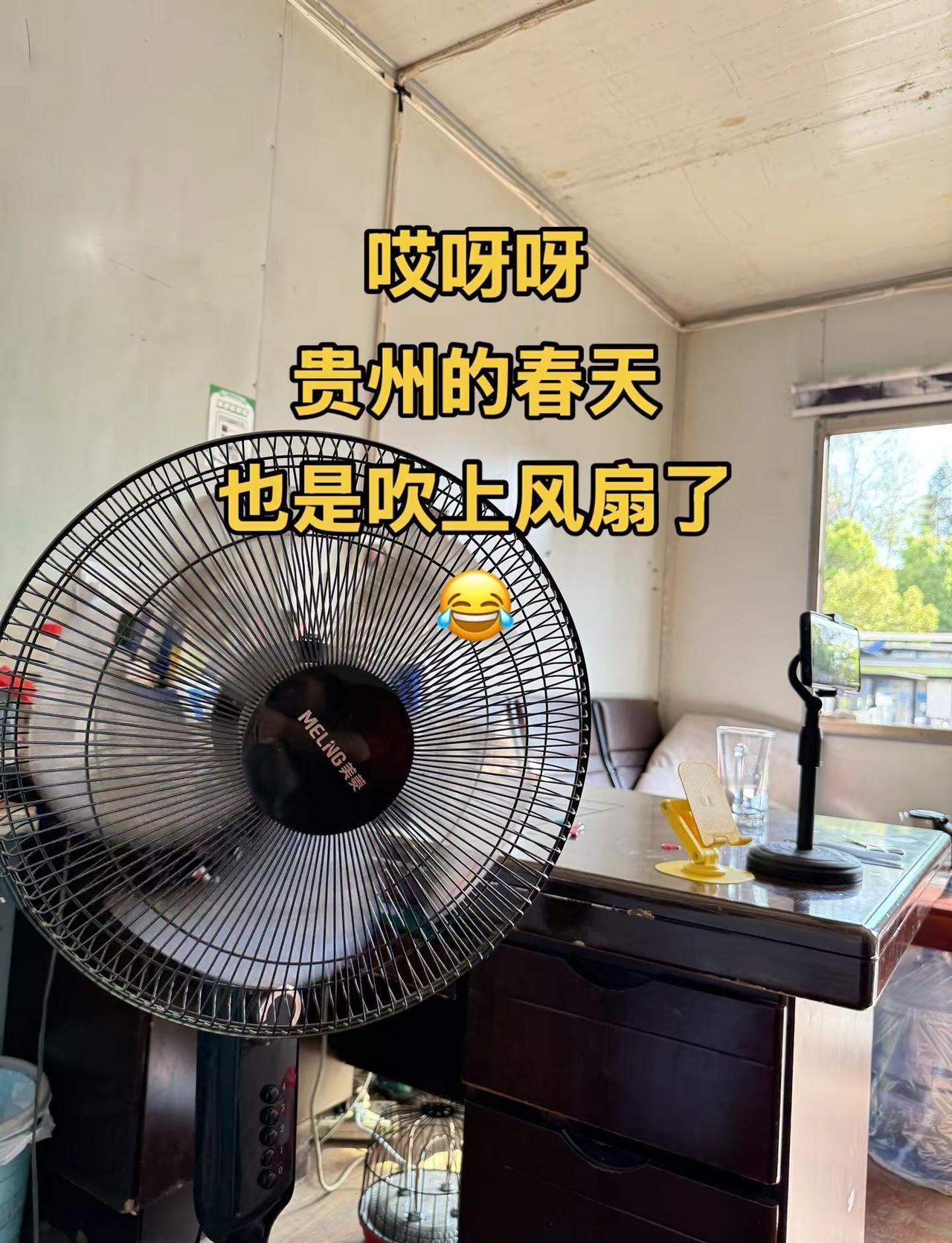 家人们，贵州的春天也是吹上风扇了😂