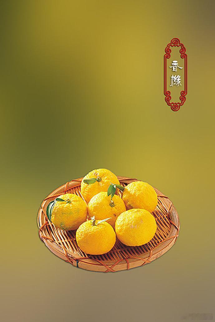 #每天一味中草药# —香橼香橼性温、疏肝理气、化痰止呕、通经利水。​​​