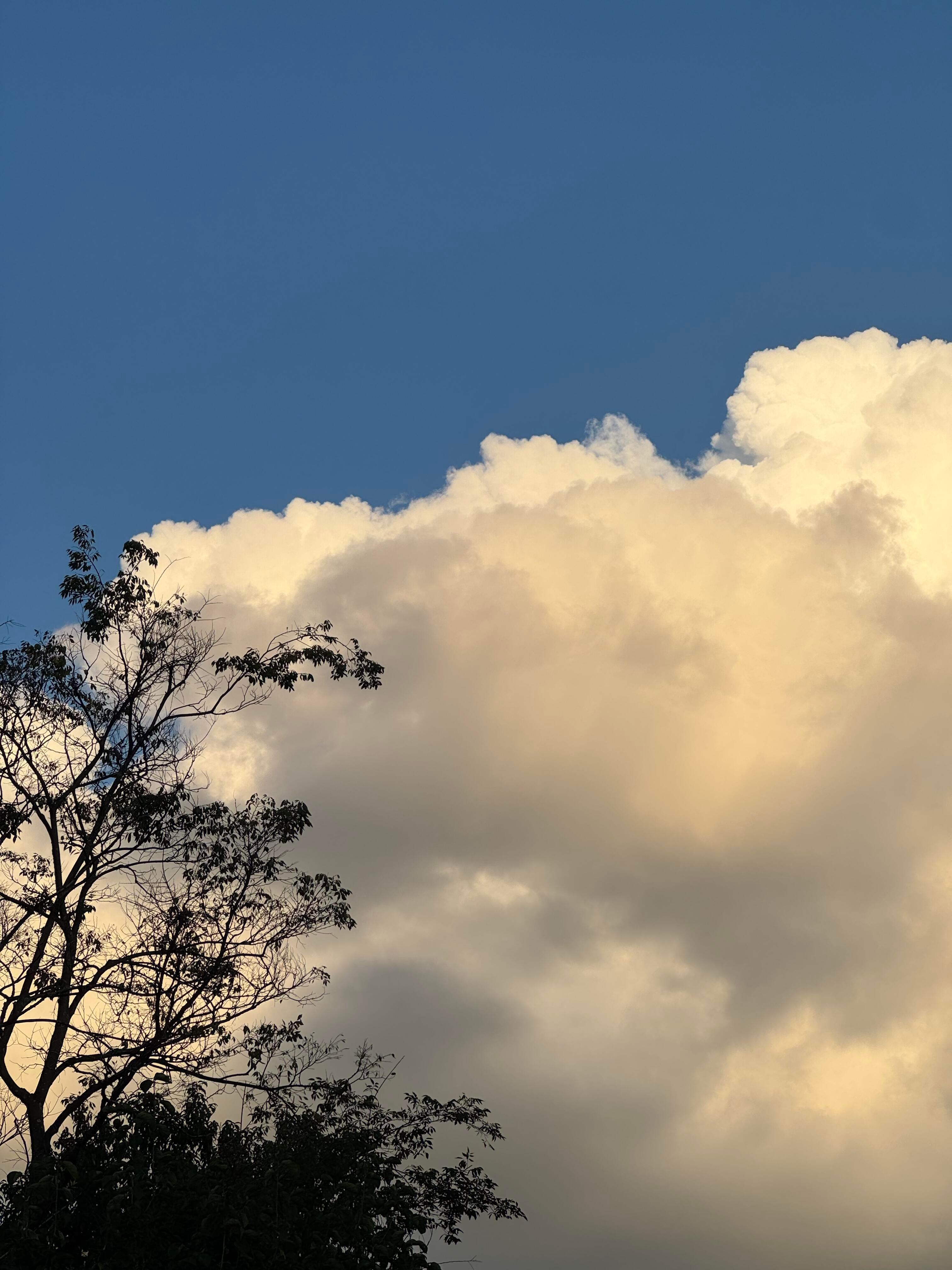 𝐩𝐥𝐨𝐠·本周精选碎片📷 ​​​