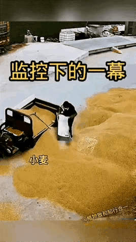 防人之心不可无呀。大妈拖一三轮车小麦去卖，过完秤下货时，居然从车斗里拖出一大袋水