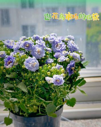 娃哈哈这事，说明大家脑子被短视频喂废了

一听说私生子、小三，立马高潮。

什么