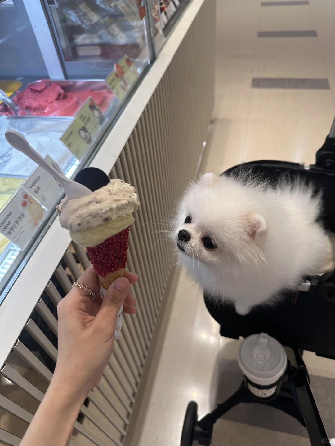 小子 不要觊觎不属于你的东西❗️