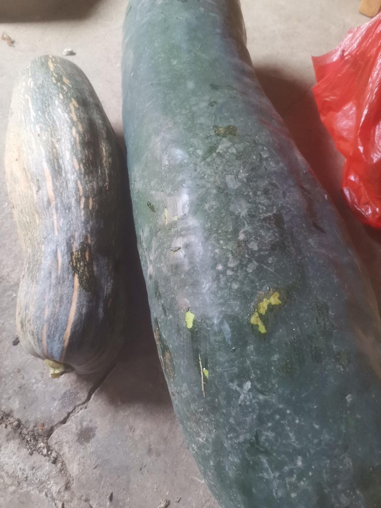 我妈真的是没苦硬吃。
图中的大冬瓜，大木瓜是我家院子里结的。
因为一连下了三天三