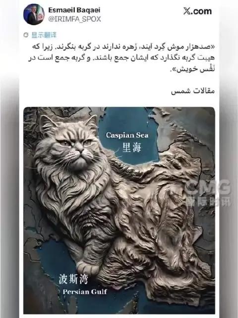 中国跟伊朗自古以来就不是一个东方，看了大秦帝国咱们热血沸腾，这废分封立郡县乃是不