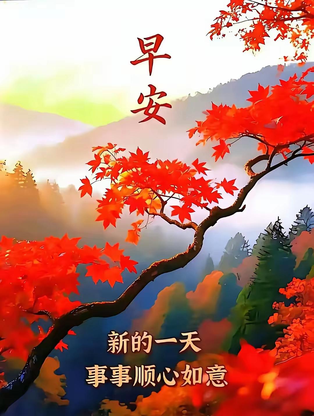 国庆节第二天，我挤在杭州西湖断桥的人潮里，脚边三步一个举着自拍杆的游客，五步一个
