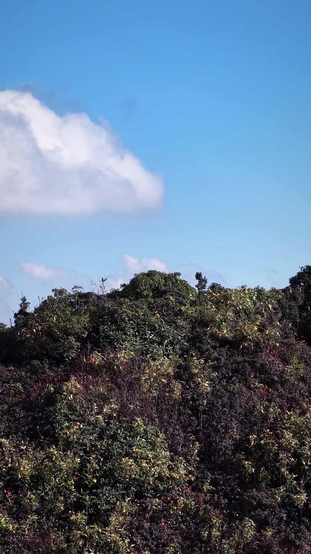 核心区的恶劣天气最让人防不胜防，阴雨大雾、暴风骤雨说变就变，能见度骤降、道路湿滑