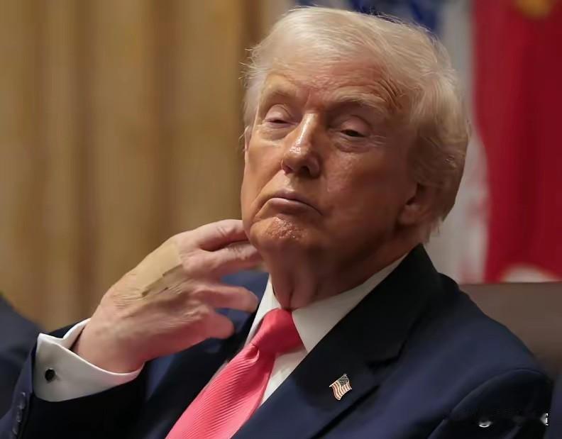 特朗普透露，因为贸易逆差，他原本打算对瑞士征收30％关税的

这事太离谱了。
就