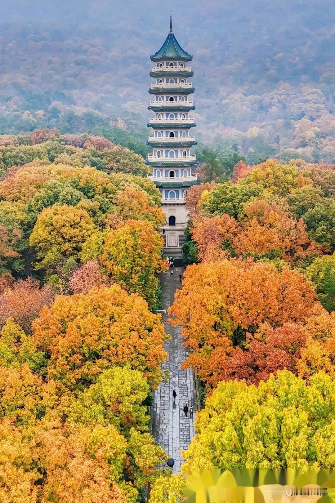 秋天值得去一趟南京的紫金山！
紫金山位于江苏省南京市的玄武区，别称钟山，古称金陵