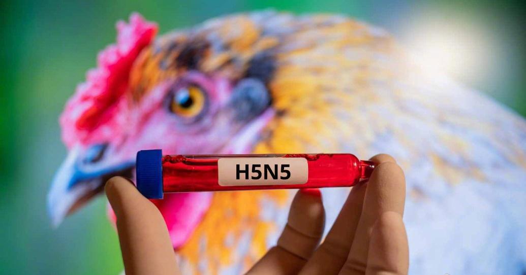 全球首例H5N5型禽流感致人死亡病例【美国报告H5N5型禽流感致人死亡病例，据信