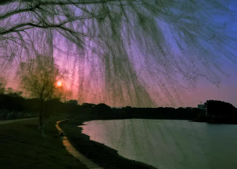画境如诗
 
烟光叠翠入帘柔，碧水环山绕画楼。
几树晴花开野岸，一溪清韵淌芳洲。