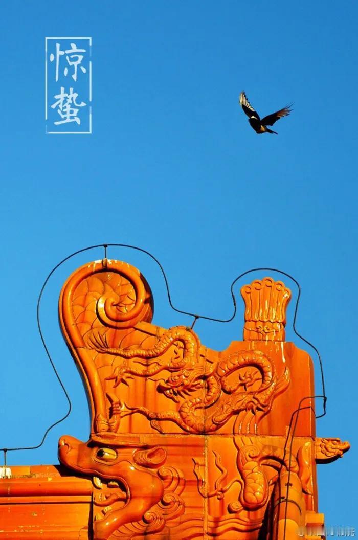 春雷响，万物长，今日惊蛰！

雷发东隅，潜蛰惊出。仲春时雨，翩燕始归，农家新梨。
