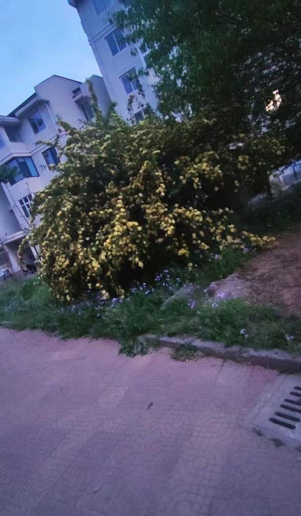 🌍地球online提醒您：请勿在NPC身上浪费太多时间，避免影响玩家自身情绪。