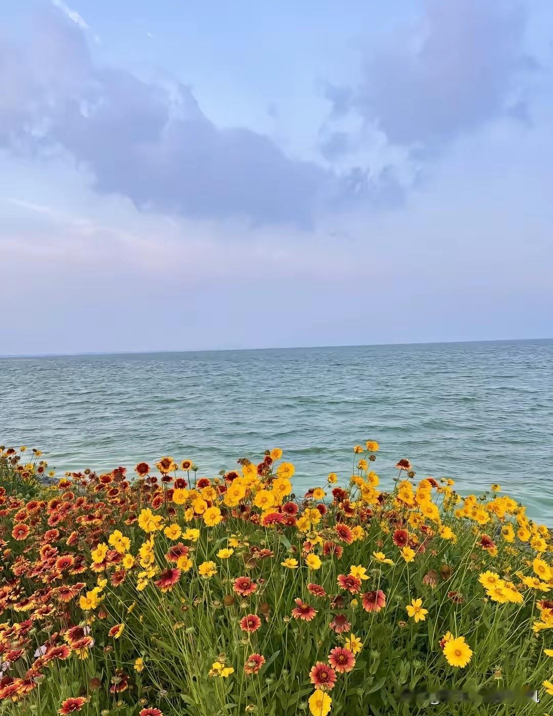 海边花开，风也温柔，日子慢慢。