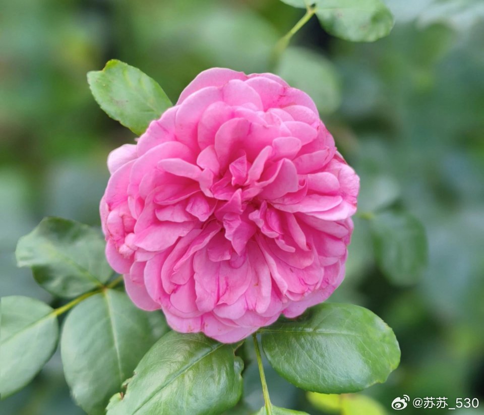 手机壁纸与其担心未来，不如现在好好努力。只有奋斗才能给你安全感，路得自己一步步走
