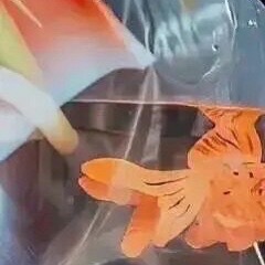 生活手记  人不能一直做正确的选择 偶尔也要做一些喜欢的选择 