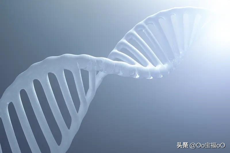 互联网商务；时代伟大的杰作；马云先生；为互联网的时代；创造全球互联互通，锻造新商