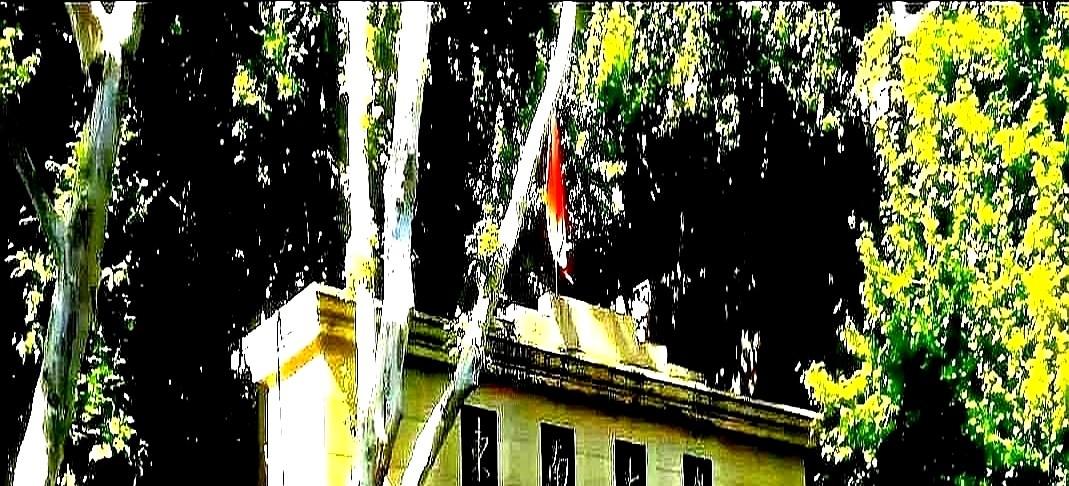 去年高考，儿子班的班长考了672分，班上同学都以为他会报浙大，因为华东五校，上交