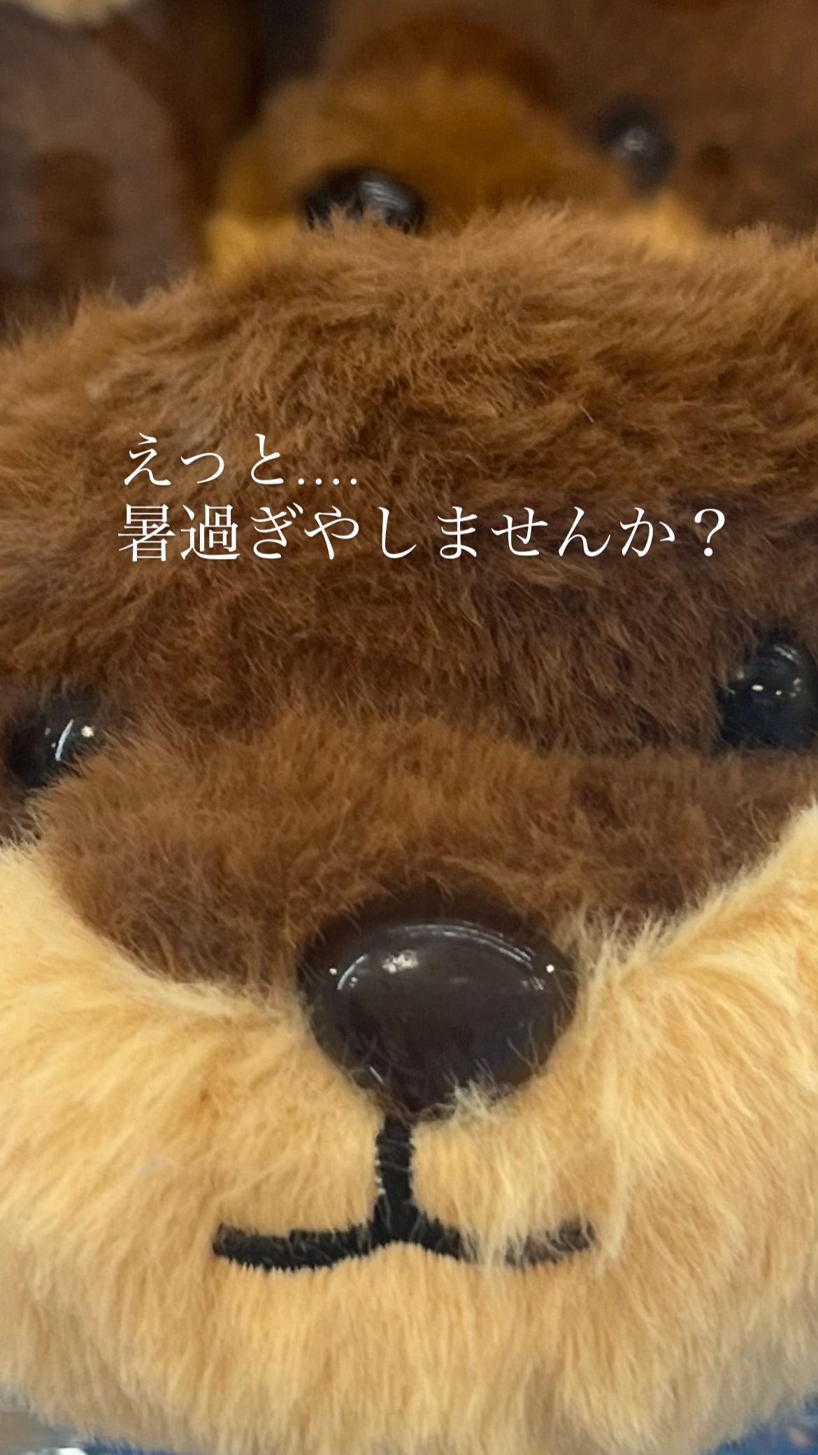 若月佑美 ​​​