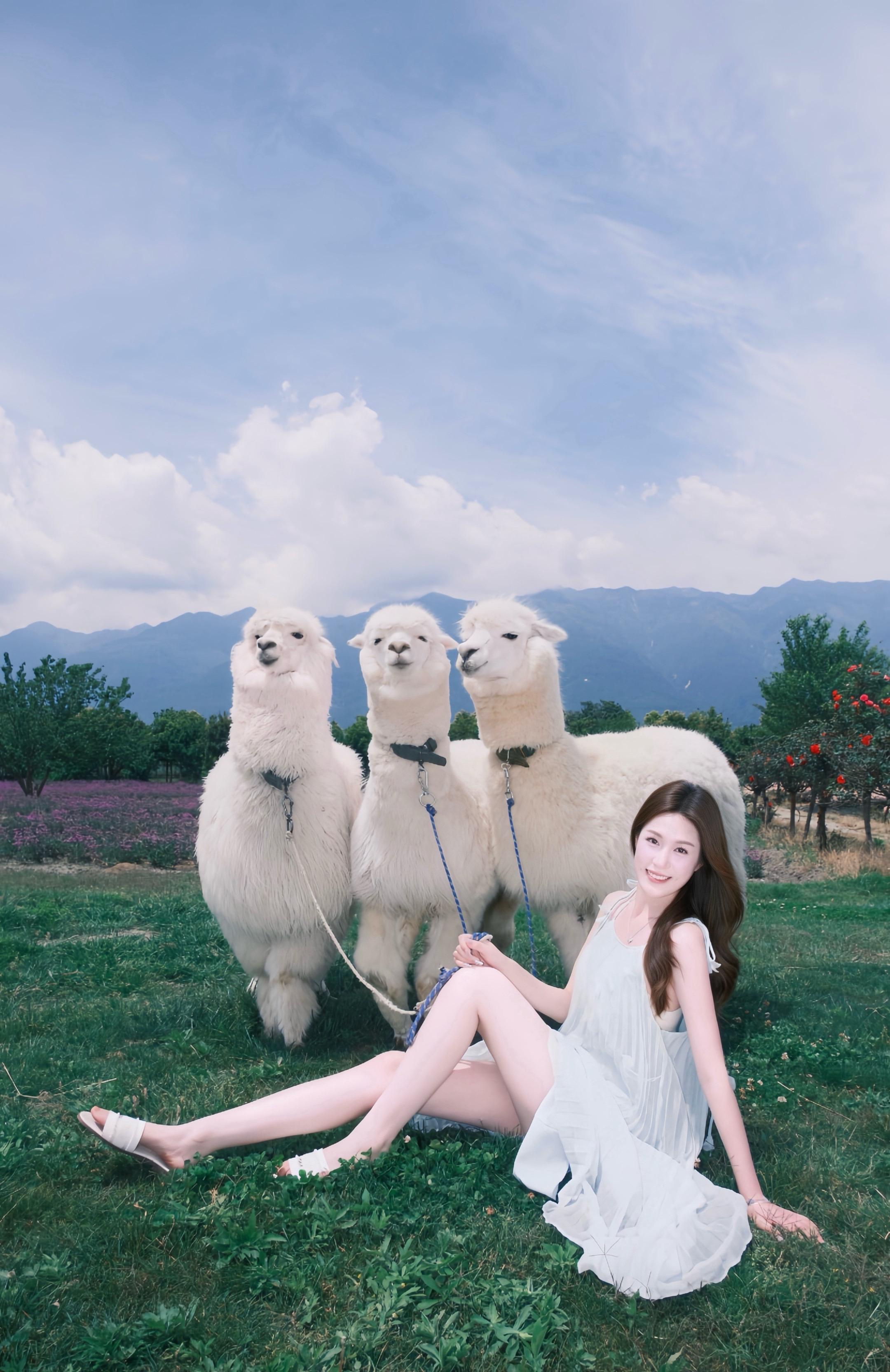 掉进了宫崎骏的画卷里🖼️不开心就来喂羊驼 只要你有吃的它就围着你转 ...