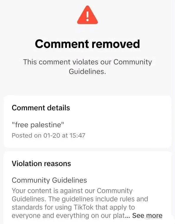 “Free Palestine”现在被 TikTok 视为仇恨言论，将自动删除。