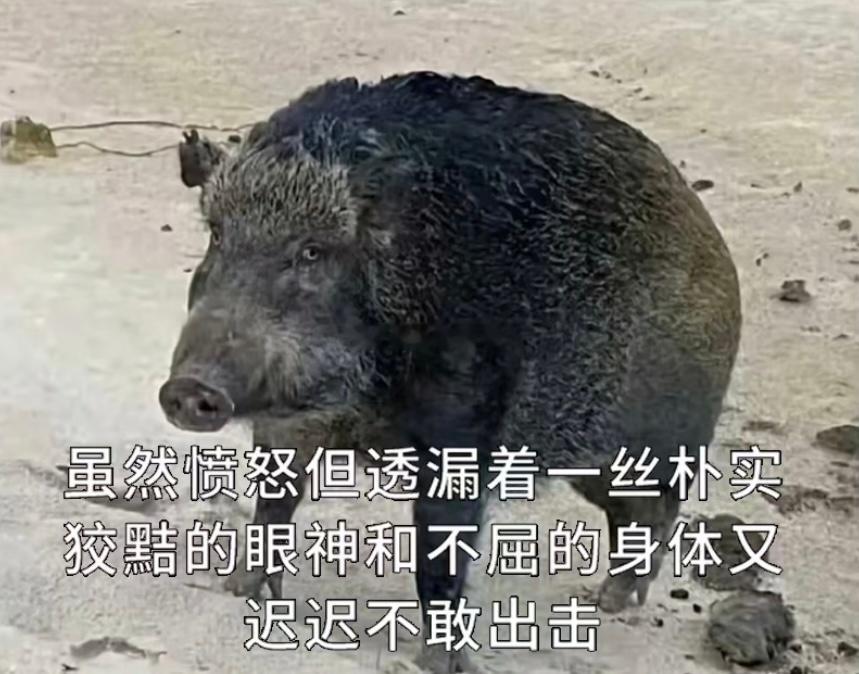 巨蟹座人天生性格有点偏腼腆，显得有些害羞，也可以说他们把自己真实内心隐藏很好，不