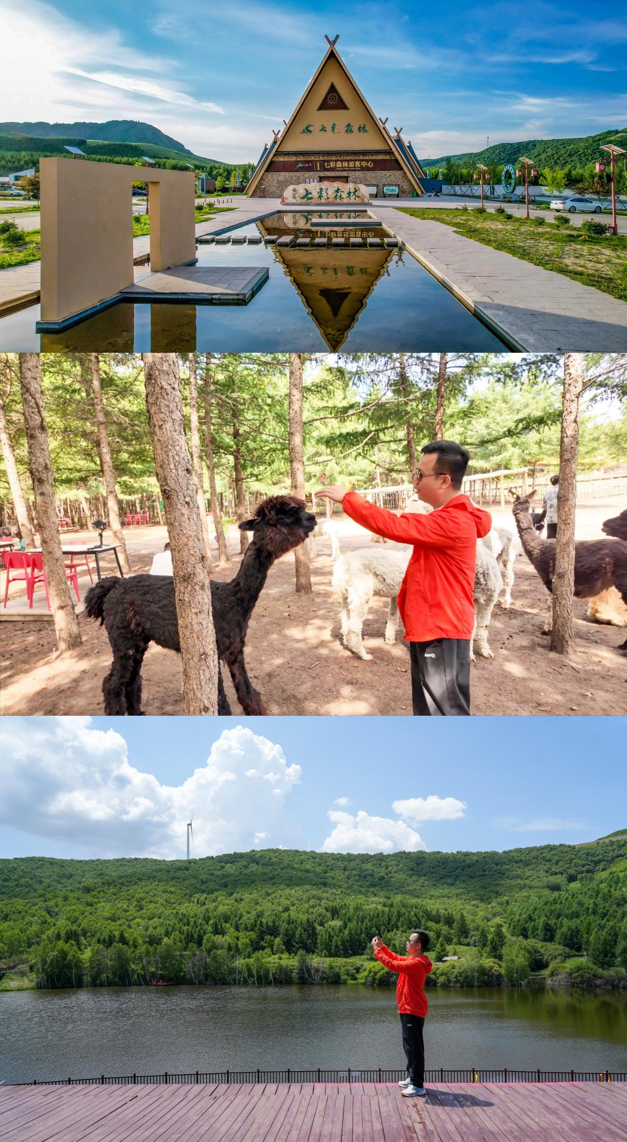 丰宁七彩森林全攻略｜16℃天然空调，京津自驾 2 日游直接抄

逃离酷暑！我们闯