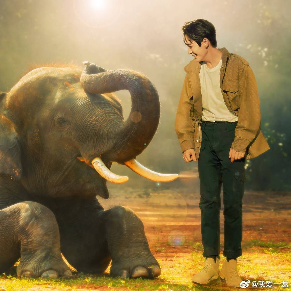 朱一龙益路前行  [抱抱] 朱一龙 挚敬同路人  [抱抱]朱一龙和小笼包，公益路