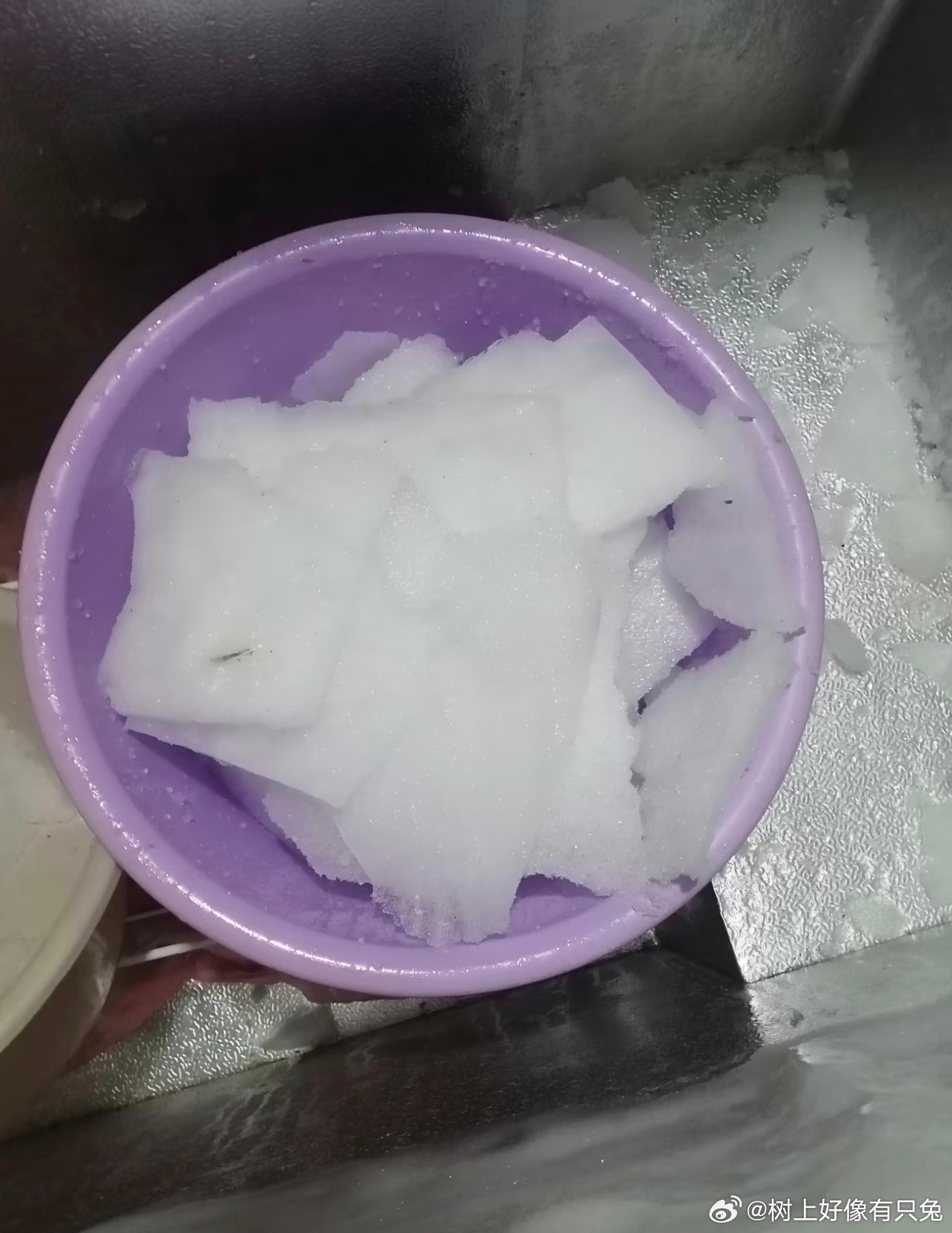 原来冰箱解冻这么简单一直搞错肉类解冻方法！不用泡水不用加热，巧用冰箱冷藏低温慢解