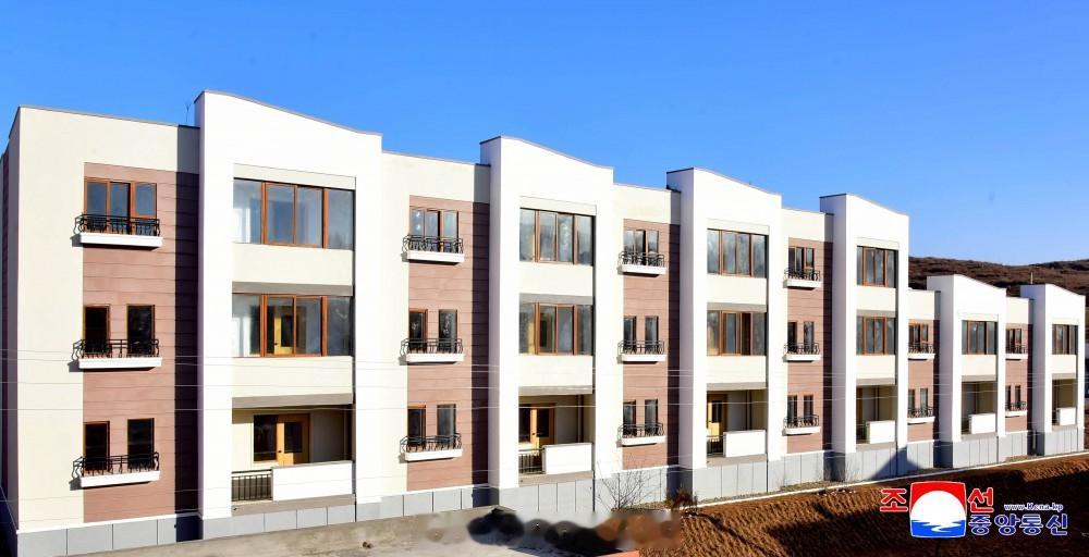 【屹立在平安南道多家农场的朝鲜式农村发展骄傲实体】朝中社平壤１月４日电　农村发展