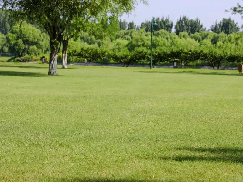 公园就像生活的调色盘，不同季节都有独特的美。
冬天的渠水公园，有着别样韵味。清晨