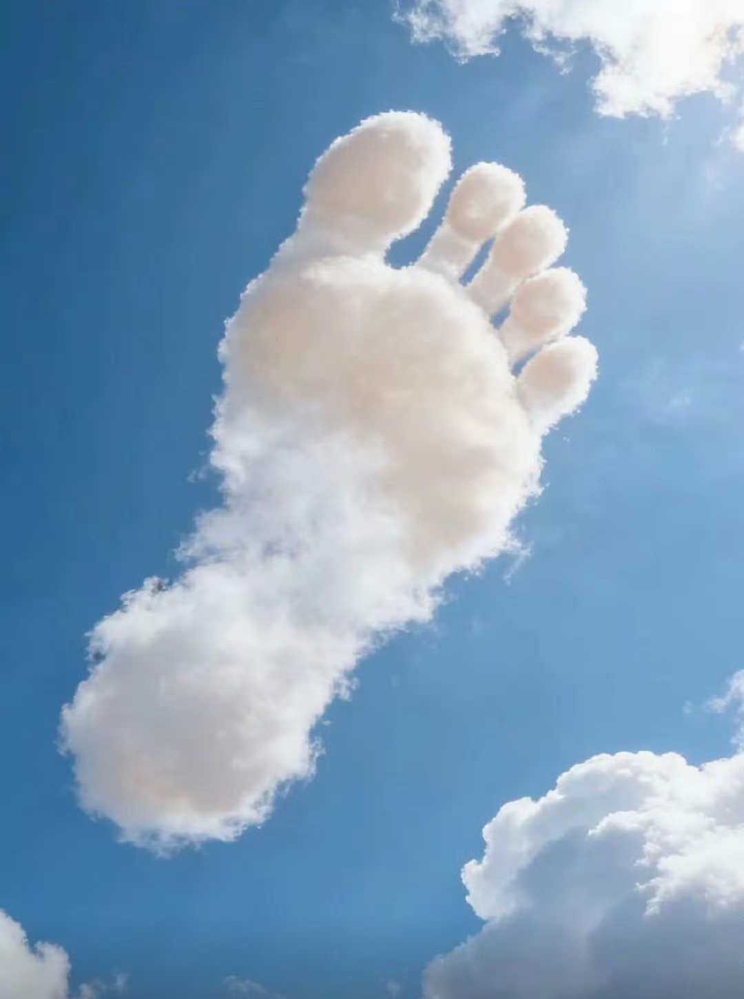 情感态度表达 很多人的人生前半程，本质上不是在做自己，而是在摆脱外部环境塑造自己