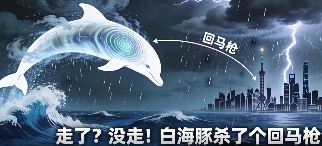 台风“回马枪”杀到！白海豚雨带精准命中台州，江浙沪暴雨再破纪录
台风走了，又没完