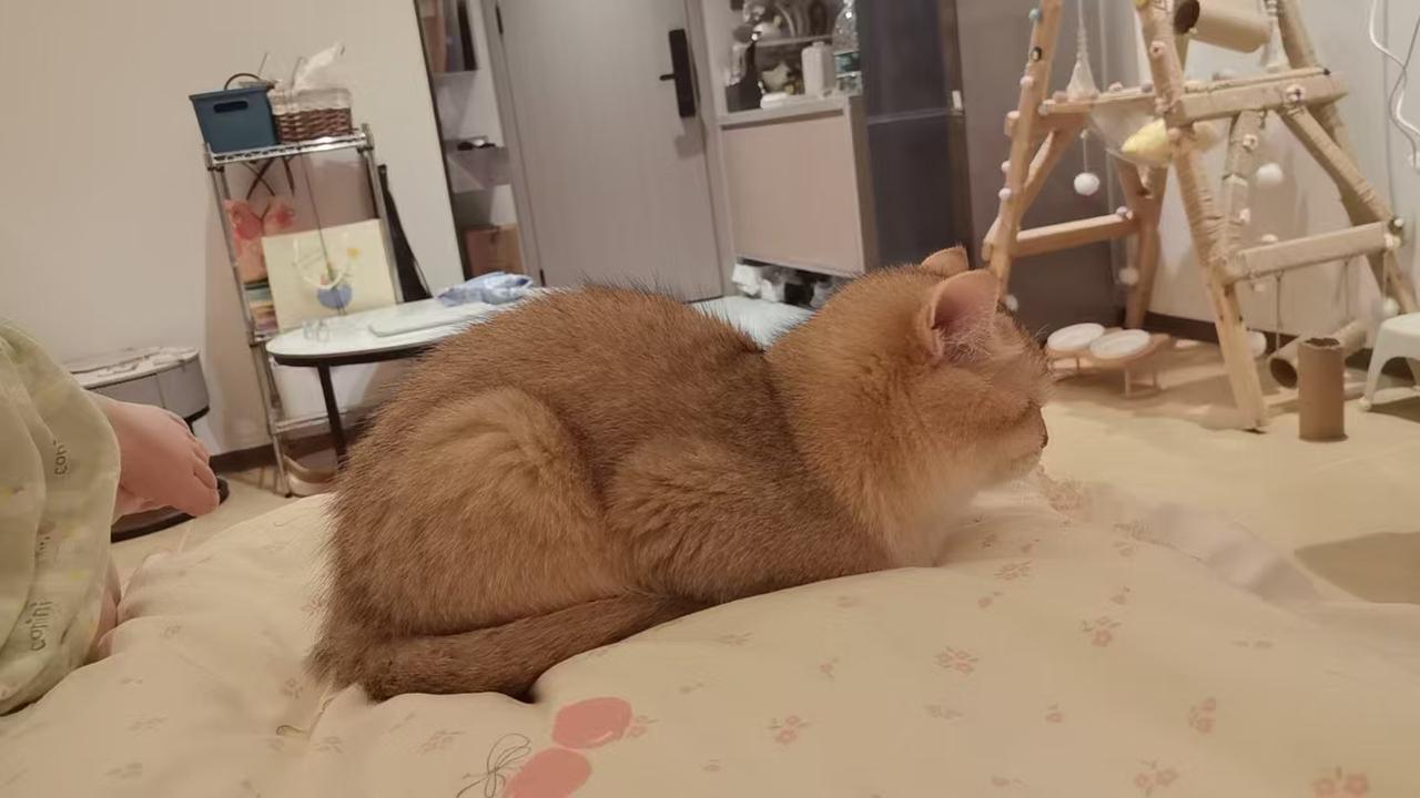 是年龄重要还是心态重要心态重要改变哈哈哈哈，你那个号吗已经比较容易，哦哦哦哦哦哦