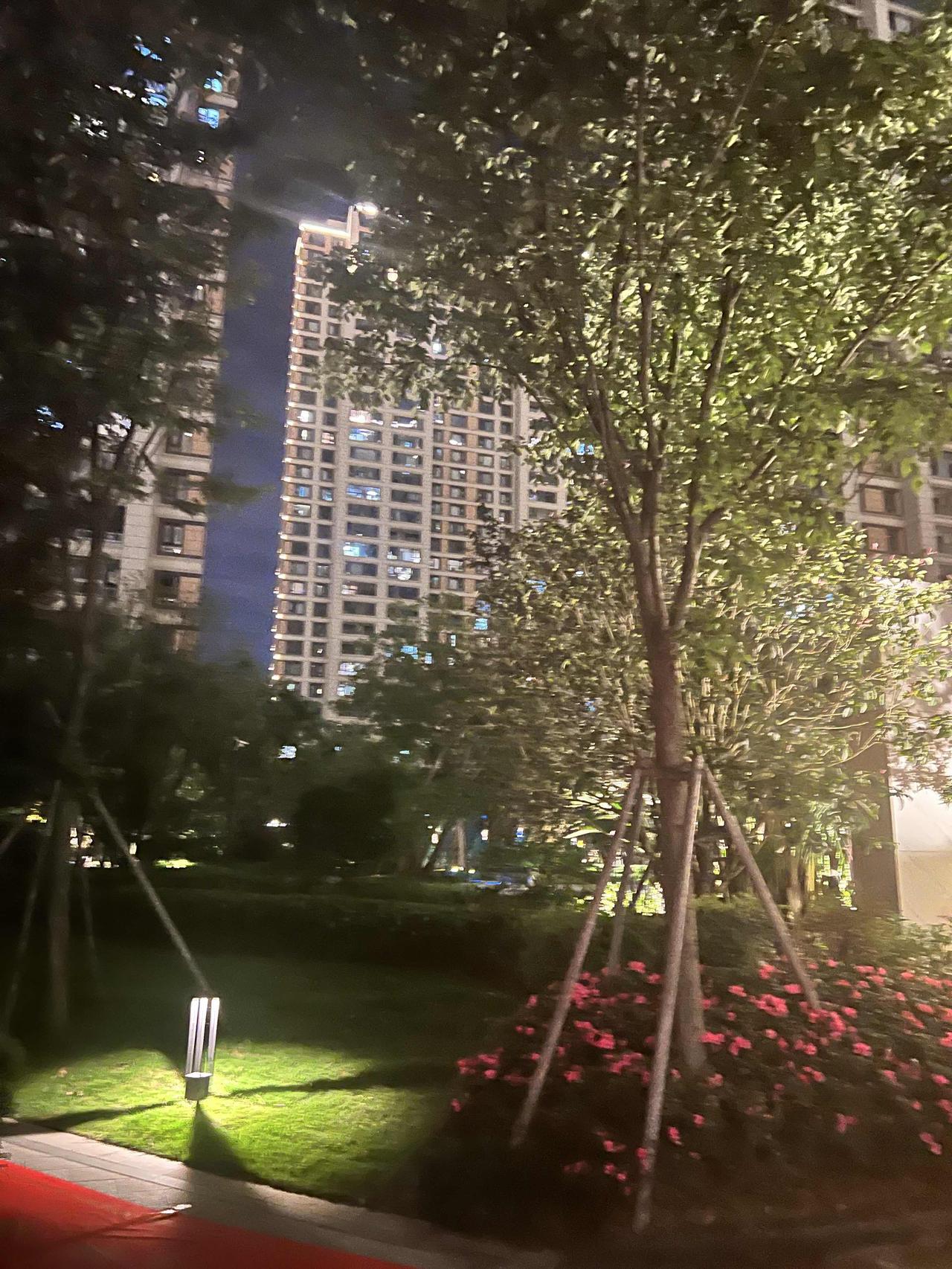 这几天晚上，窗外雾如轻纱，丝丝缕缕，小区顿时被氤氲成一幅朦朦胧胧的画卷。我只得早