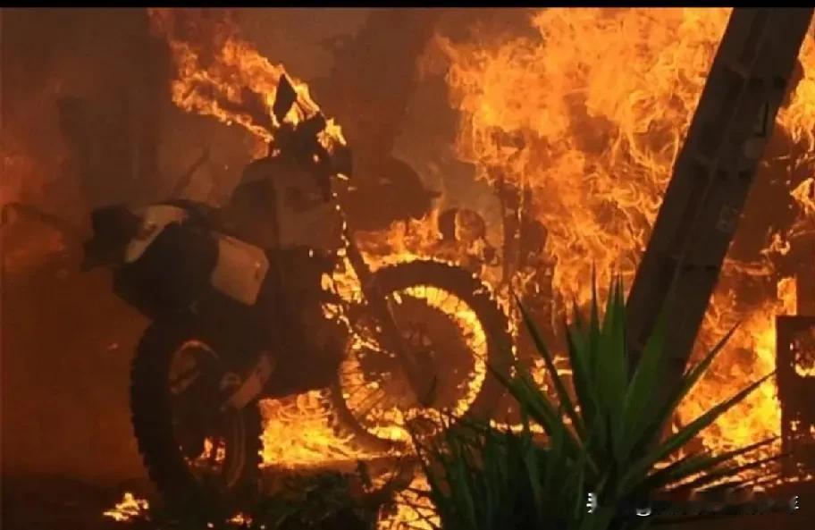 蛇年伊始，美国就火遍全球，会不会甩锅中国呢？在中国有句俗话，火烧旺运，美国真信了