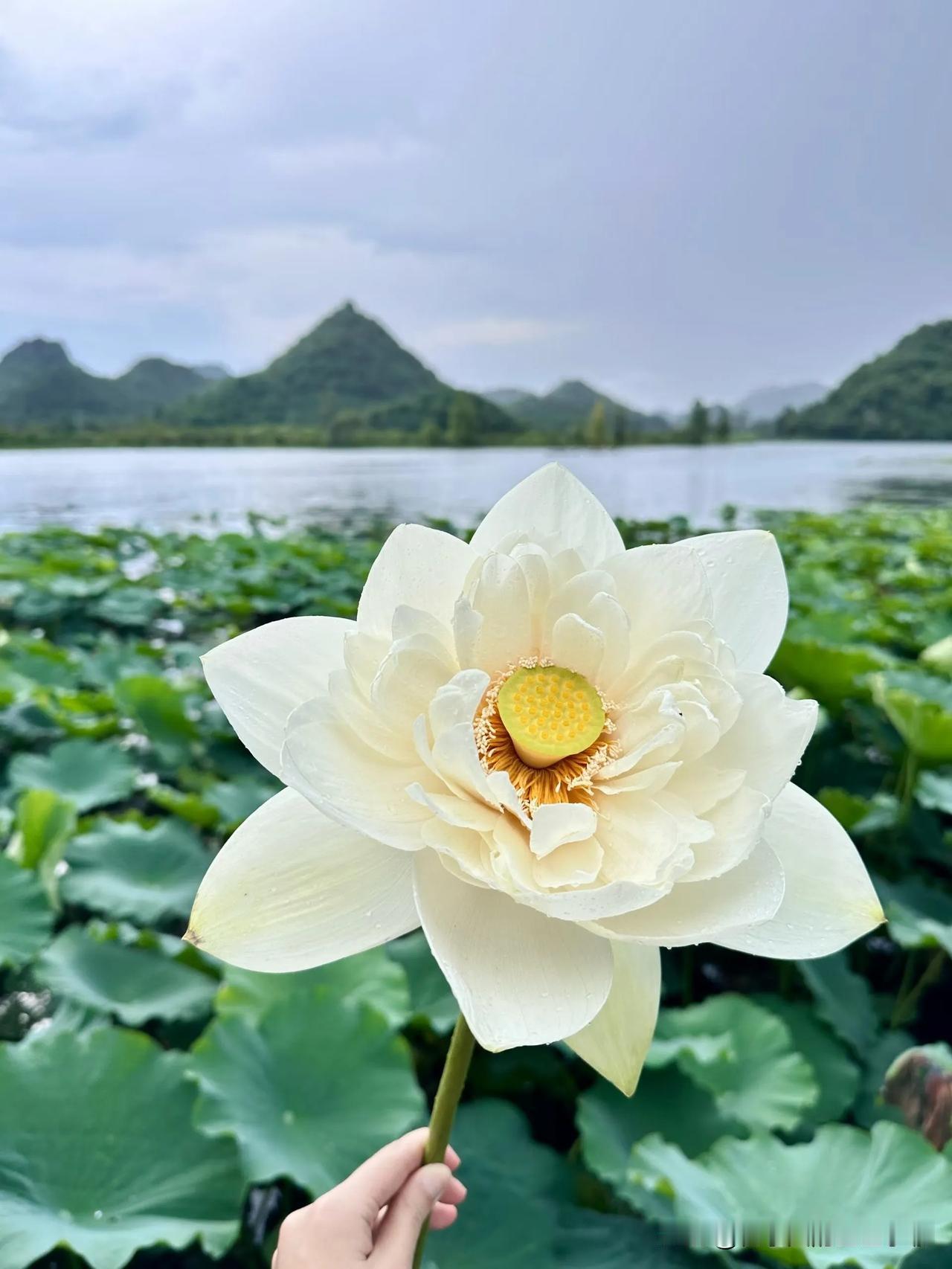虽说