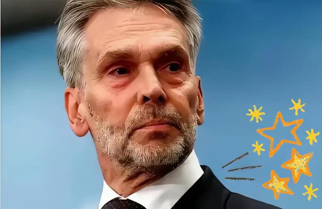 果不其然
安世荷兰消息
​​2025年11月23日晚，闻泰科技确实发布了相关声明