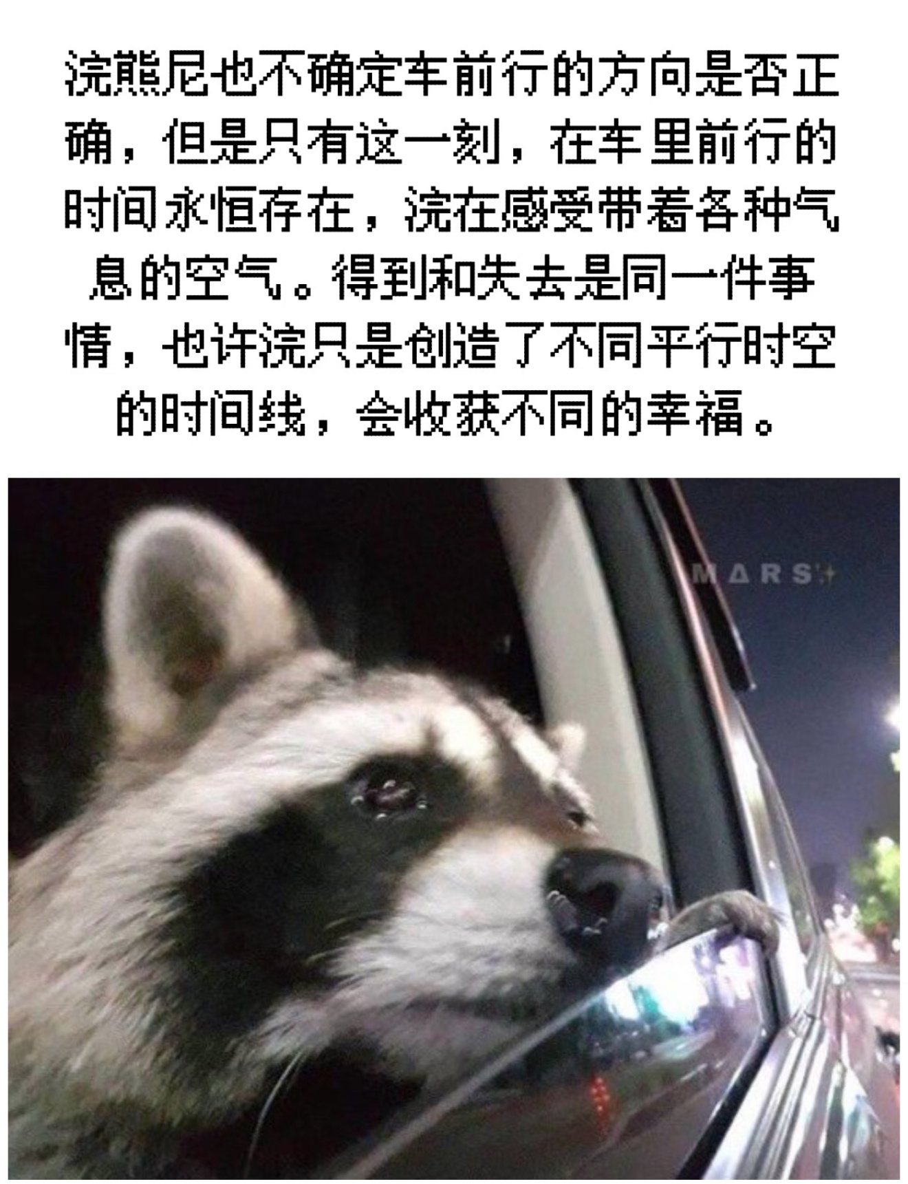🫳🏻🫳🏻🫳🏻我们会一起收获幸福 