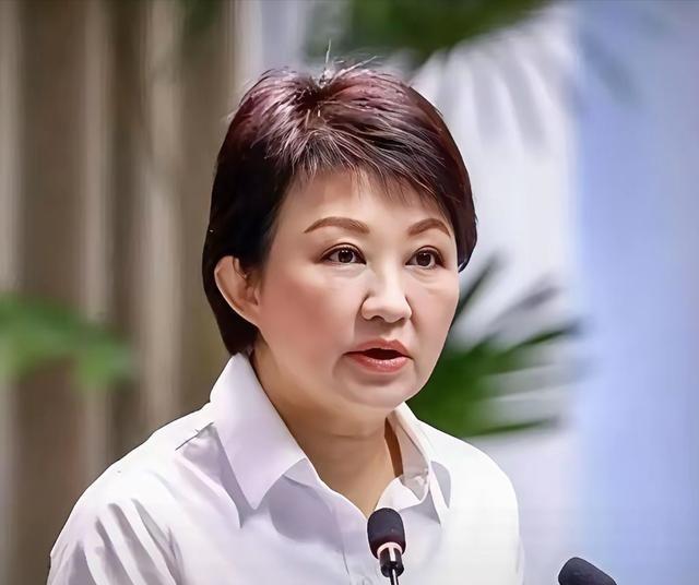 台中市市长卢秀燕被记者问到日本和菲律宾擅自把台湾省以东划成他们的经济区域时，她曾