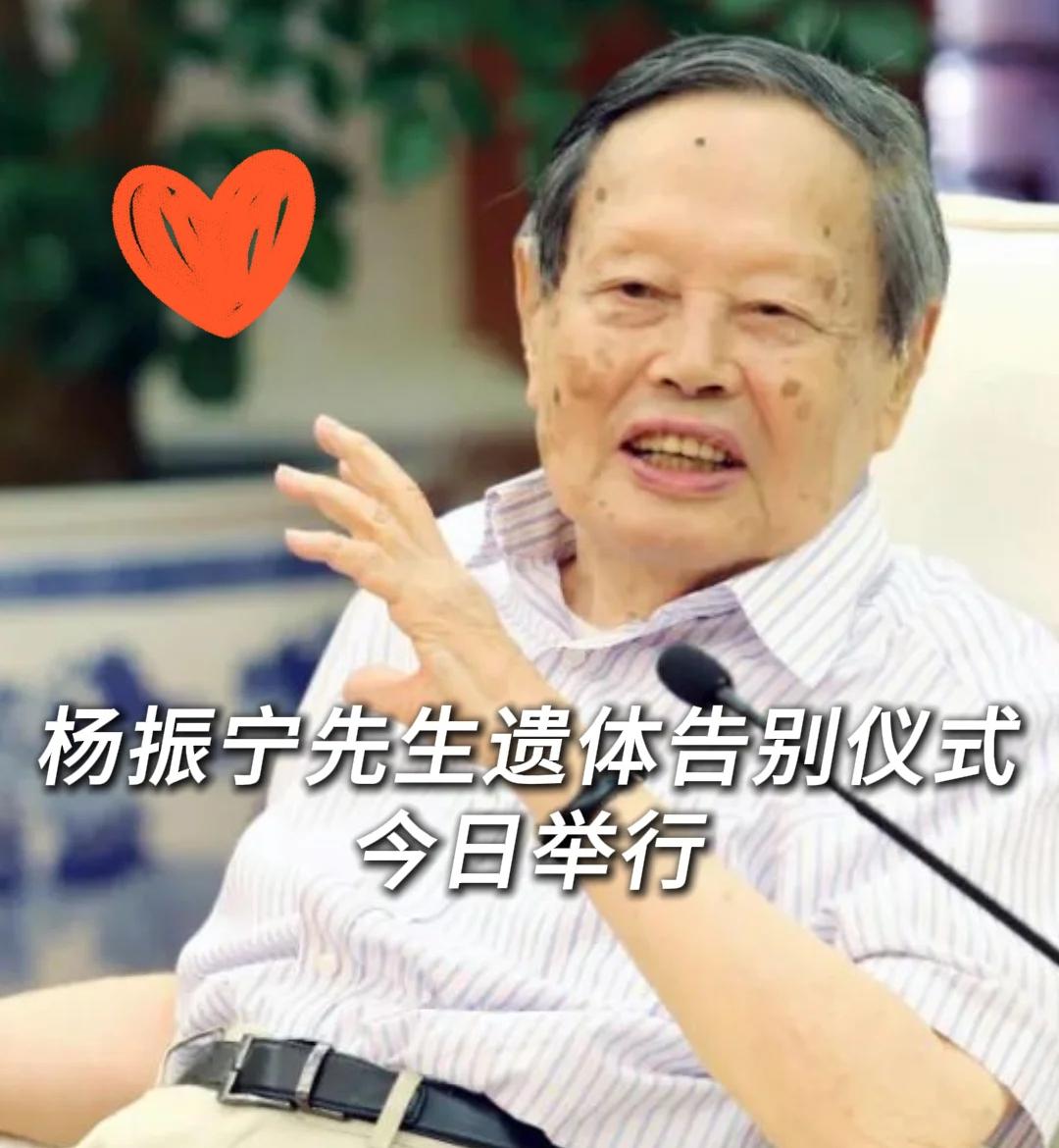今天，八宝山的菊花又多了一份沉甸甸的思念，杨振宁先生的遗体告别仪式正在这里举行。