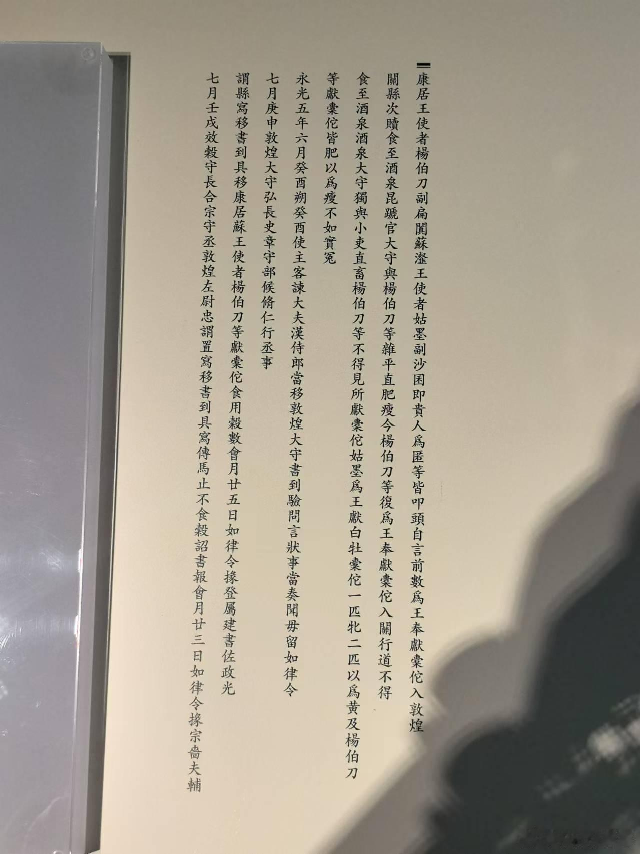 甘肃简牍博物馆  马变瘦了可不行！ 