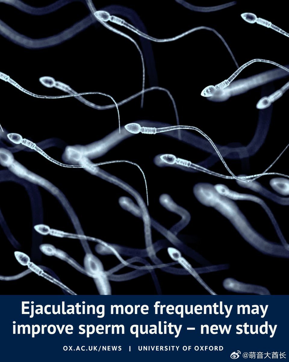 "男性自慰可能具有适应性益处：它能清除受损的储存精子。"牛津大学新研究表明，精子